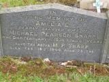 image of grave number 236647